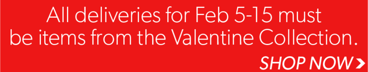 VDAY DELIVERY BANNER