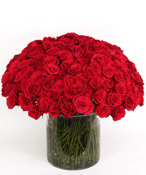 Ultimate Love!  200 Roses