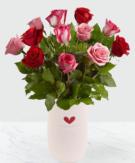 Pink Roses, Red Roses, Long Stem Roses, Ecuadorian Roses,