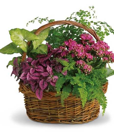 Treasure Garden Basket