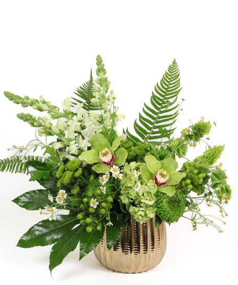 Pot of Gold floral arrangement with green orchids, hydrangeas, snapdragons, and chamomile daisies in a gold ceramic vase