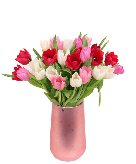 Tulips in Love arrangement with red, pink, and white tulips in a rose gold vase, available in 25 or 50 stems