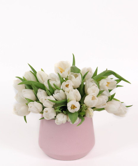 Gorgeous Tulip Bouquet, Locally Sourced Tulips, Tulip Arrangement